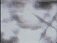 a blurred image of a person 's face with a gray background