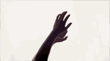 Hayden Panettiere Clapping Hands GIF - Hayden Panettiere Clapping Hands Clapping GIFs