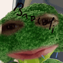 a stuffed frog with broccoli written on its face