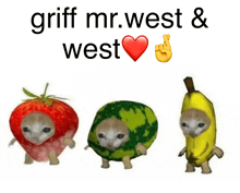 three cats dressed as strawberries watermelons and bananas with the words " griff mr. west & west " above them