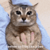 Teehee So Free Like A Bee GIF - Teehee So Free Like A Bee GIFs