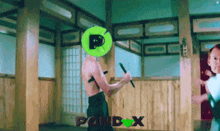 Pond0x Pndc GIF - Pond0x Pndc Pond GIFs
