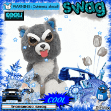 a picture of a stuffed animal that says swag cool