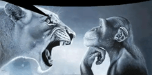 a lion and a chimpanzee are looking at each other with their mouths open .