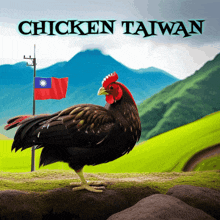 Chickentaiwan Gà đài Loan GIF