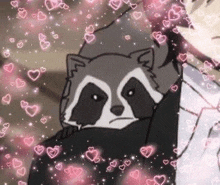 a raccoon is sitting on a person 's lap with hearts flying around it .