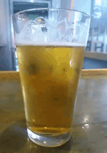 Beer GIF - Beer GIFs