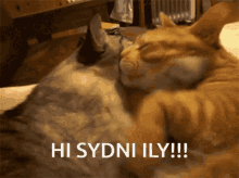 Hi Sydni GIF - Hi Sydni Ily GIFs