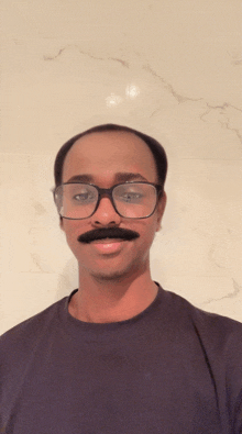a man with glasses and a fake mustache looks at the camera