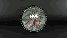Never Going Broke Ngb Coin GIF - Never Going Broke Ngb Coin Nft Coin GIFs