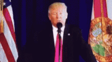 Donald Trump Yes You GIF - Donald Trump Yes You Point GIFs