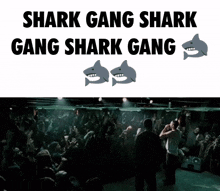Shark-gang-eminem Shark Gang GIF - Shark-gang-eminem Shark Gang GIFs