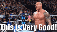 Randy Orton This Is Very Good GIF - Randy Orton This Is Very Good Prime Drink GIFs