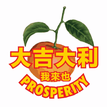 cny chinese oloiya prosperity orange