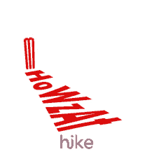 out howzat stumped cricket catch out howzat stumped cricket catch