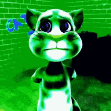 Cat Chat GIF - Cat Chat Chaton GIFs