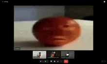 a screen shot of a video call with a person named pushmaru