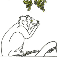 Lemur Munchies GIF - Lemur Munchies Grape GIFs