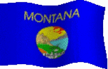 Montana GIF