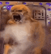 a close up of a dog with its mouth open and smoke coming out of it 's mouth .