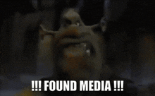Dmd Found Media GIF - Dmd Found Media Shrek GIFs