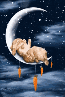 bunny rabbit carrots moon sky