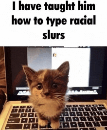 a kitten sitting in front of a laptop with the words i have taught him how to type racial slurs