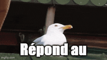 a white seagull with a yellow beak is sitting on a green roof with the words " repond au " below it .