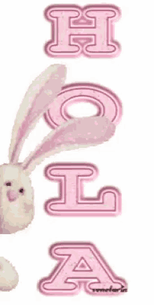 Bunny Hola GIF