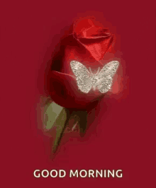 Good Morning Greetings GIF - Good Morning Greetings Butterfly GIFs