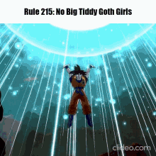 Rule215 GIF - Rule215 GIFs