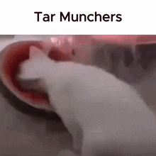 Tar Munchers GIF - Tar Munchers GIFs