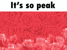a bunch of red roses with the words " it 's so peak " above them
