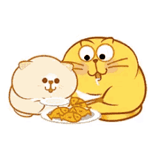 Cats Give GIF - Cats Give Food GIFs