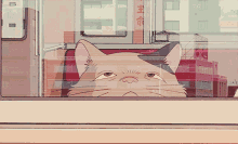 Anime Cat GIF - Anime Cat Window GIFs
