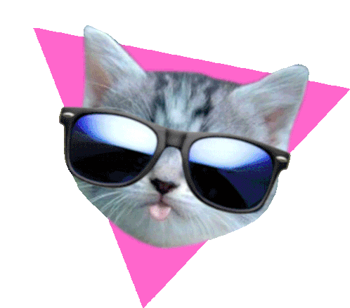 Cat Cute Sticker - Cat Cute Side Eye Stickers