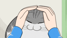 a person petting a cat 's head with their hands