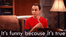 Its Funny Because Its True Sheldon GIF - Its Funny Because Its True Sheldon Big Bang Theory GIFs