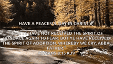 a picture of a river with a bible verse from romans 8:15 kjv