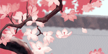 Spring Sakura GIF - Spring Sakura Ashesgif GIFs