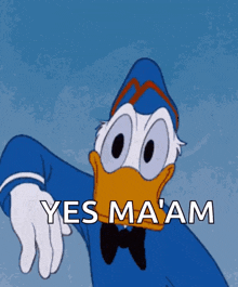 donald duck says yes ma 'am in a cartoon