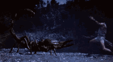 Perseus Scorpion GIF - Perseus Scorpion GIFs