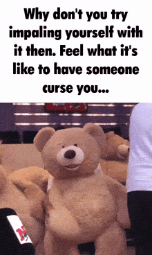 a teddy bear with the words " why don 't you try impaling yourself with it then " on it