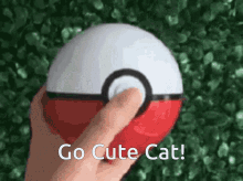 Pokemon Go Cute Cat GIF