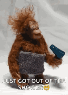 Getting Ready For Work Blow Dry GIF - Getting Ready For Work Blow Dry Monkey GIFs