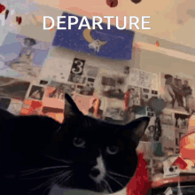 Departure Cat GIF
