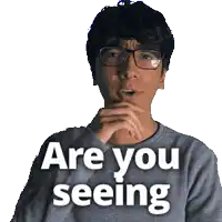 a man wearing glasses and a grey sweater says are you seeing