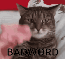 Badword GIF - Badword GIFs