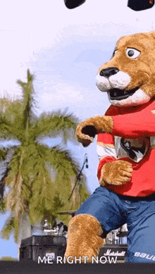 a mascot wearing a red shirt and blue shorts is dancing on stage .