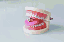 Anatomy Teeth GIF - Anatomy Teeth Toy GIFs